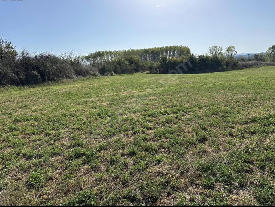 EDİRNE KEŞAN BAHÇEKÖY'DE 6.909 m² MÜSTAKİL TAPULU, KADASTRO YOLUNA CEPHELİ TARLA - EDİRNE KEŞAN BAHÇEKÖY KÖYÜ - undefined undefined