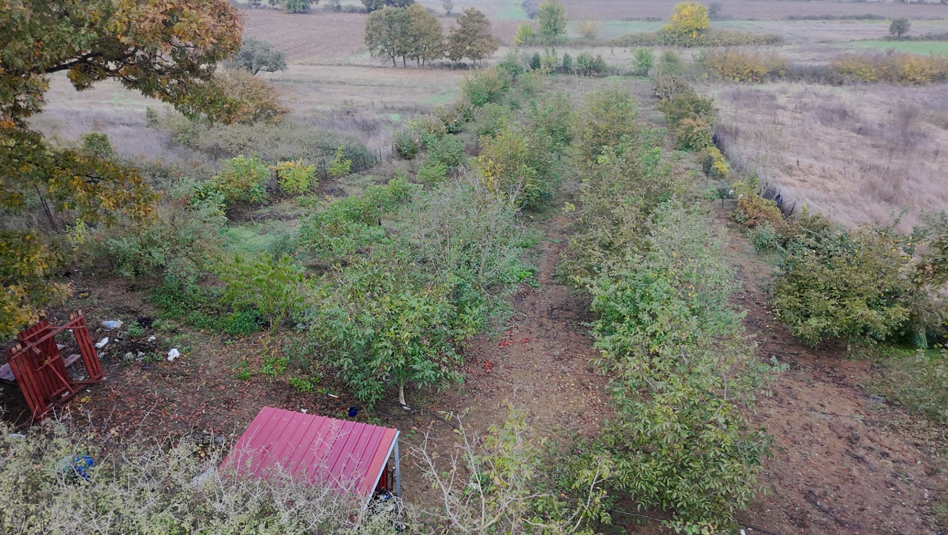 ÇAN HELVACI KÖYÜ'NDE KAPALI SİSTEM SULAMALI, TEL ÇEVRİLİ MEYVE BAHÇESİ - ÇANAKKALE ÇAN HELVACI KÖYÜ - undefined undefined
