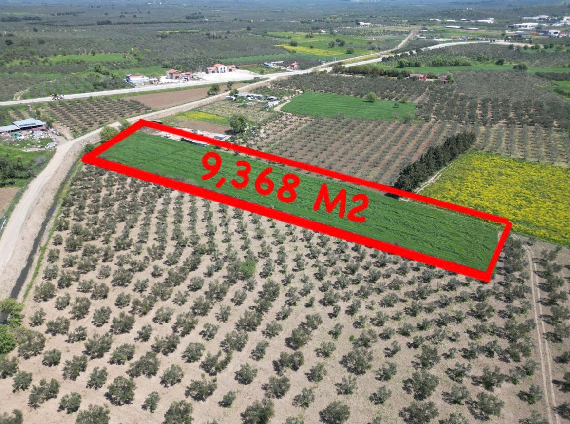 ÇANAKKALE GEYİKLİDE 9.368 M2 SATILIK TARLA - ÇANAKKALE EZİNE GEYİKLİ BELDESİ, HÜRRİYET MAHALLESİ - undefined undefined