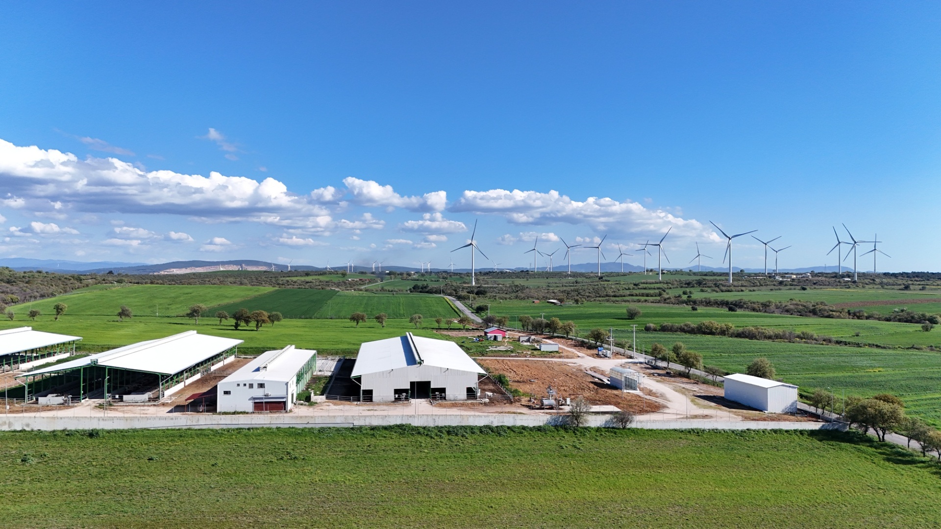 ÇANAKKALE EZİNE ÜVECİK KÖYÜNDE ASFALT YOLA CEPHELİ 16.268 M2 TARLAMIZ SATILIKTIR - ÇANAKKALE EZİNE ÜVECİK KÖYÜ - undefined undefined