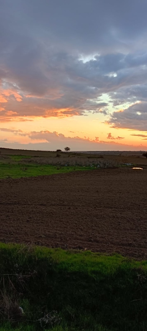 Tekirdağ Kapaklı Karaağaç 1302 m2 Konut İmarlı Satılık Arsa - TEKİRDAĞ KAPAKLI KARAAĞAÇ MAHALLESİ - undefined undefined