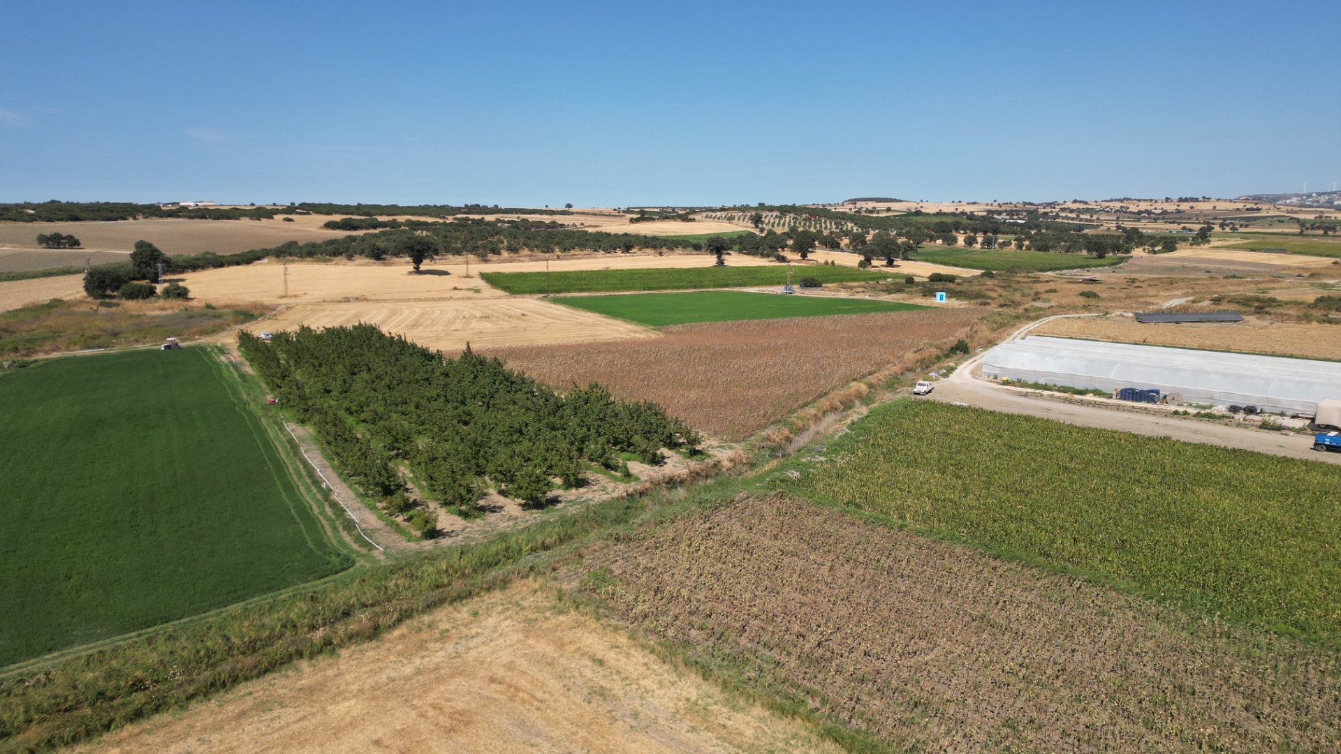 ÇANAKKALE MERKEZ HALİLELİ KÖYÜ NDE 5.520 M2 CEVİZLİK - ÇANAKKALE MERKEZ HALİLELİ KÖYÜ - undefined undefined