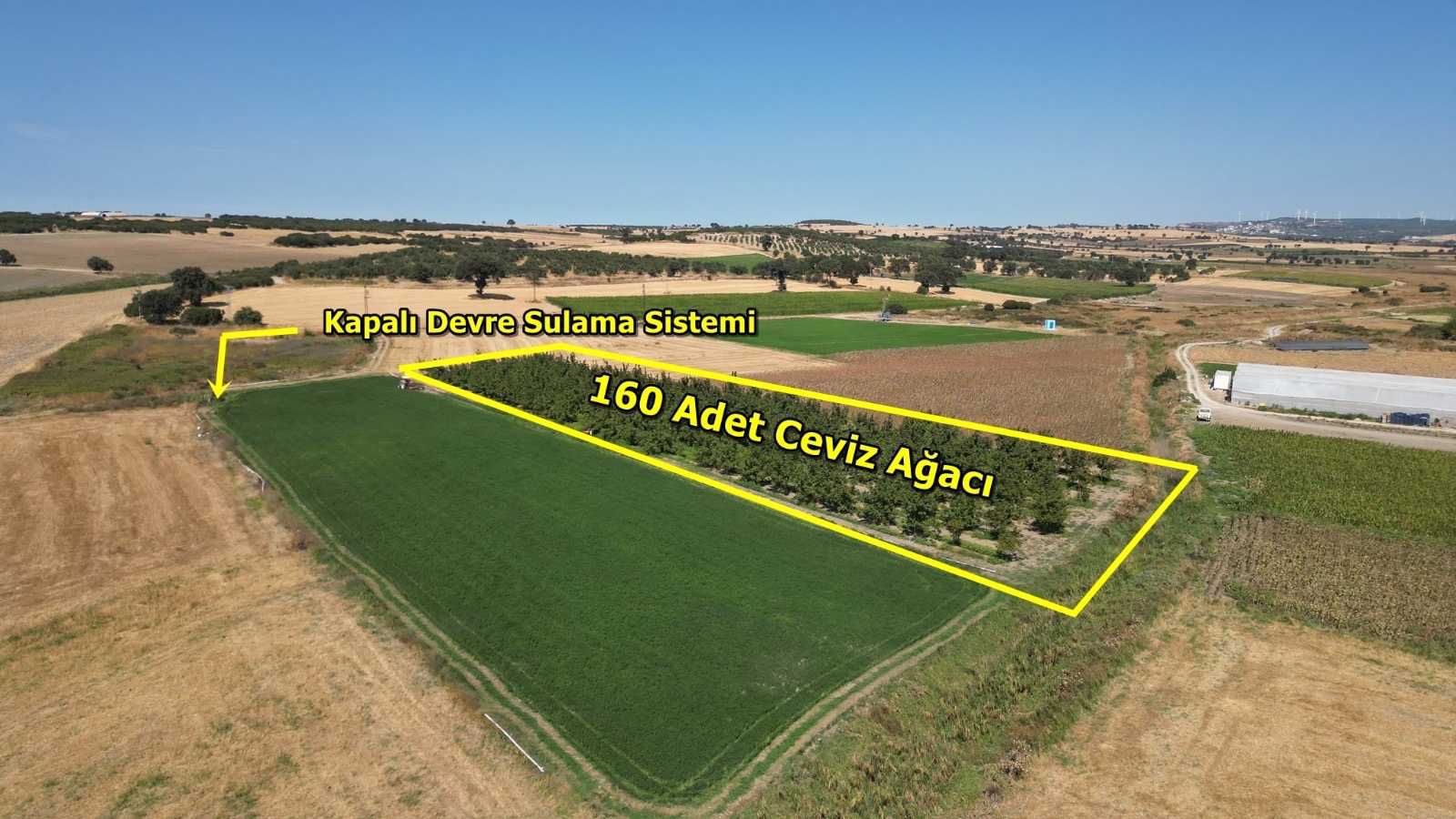 ÇANAKKALE MERKEZ HALİLELİ KÖYÜ NDE 5.520 M2 CEVİZLİK - ÇANAKKALE MERKEZ HALİLELİ KÖYÜ - undefined undefined - Thumbnail