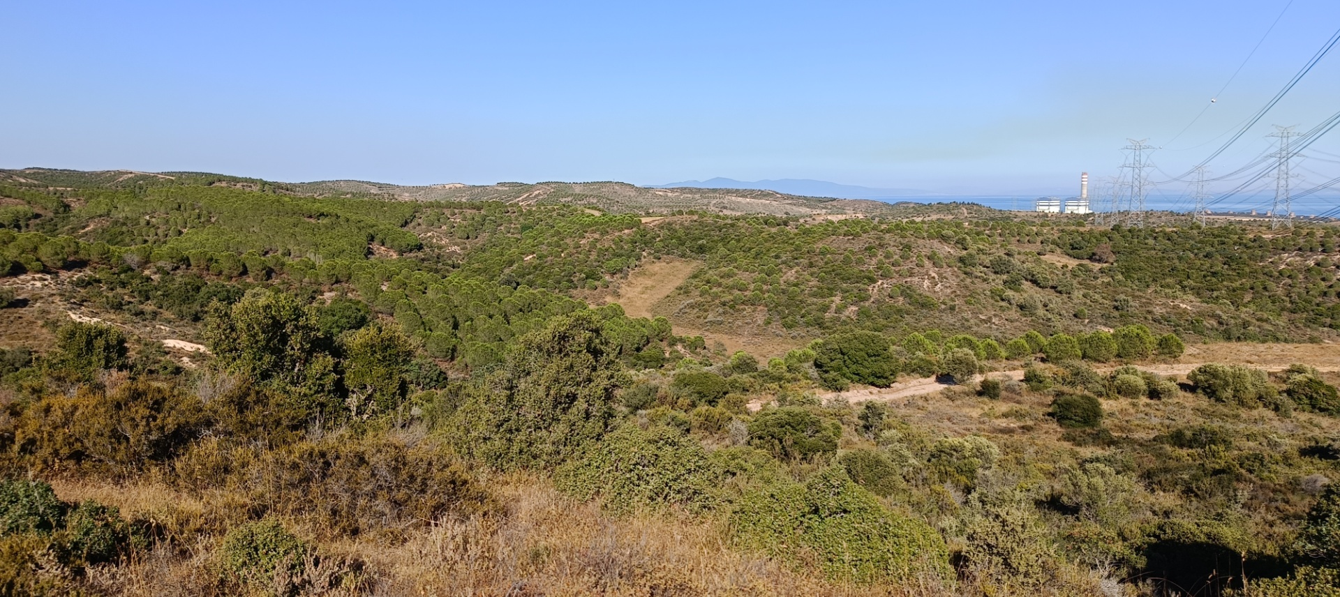 ÇANAKKALE KARABİGA ZEYTİNLİK KÖYÜ SATILIK 6.313 M2 BAĞ