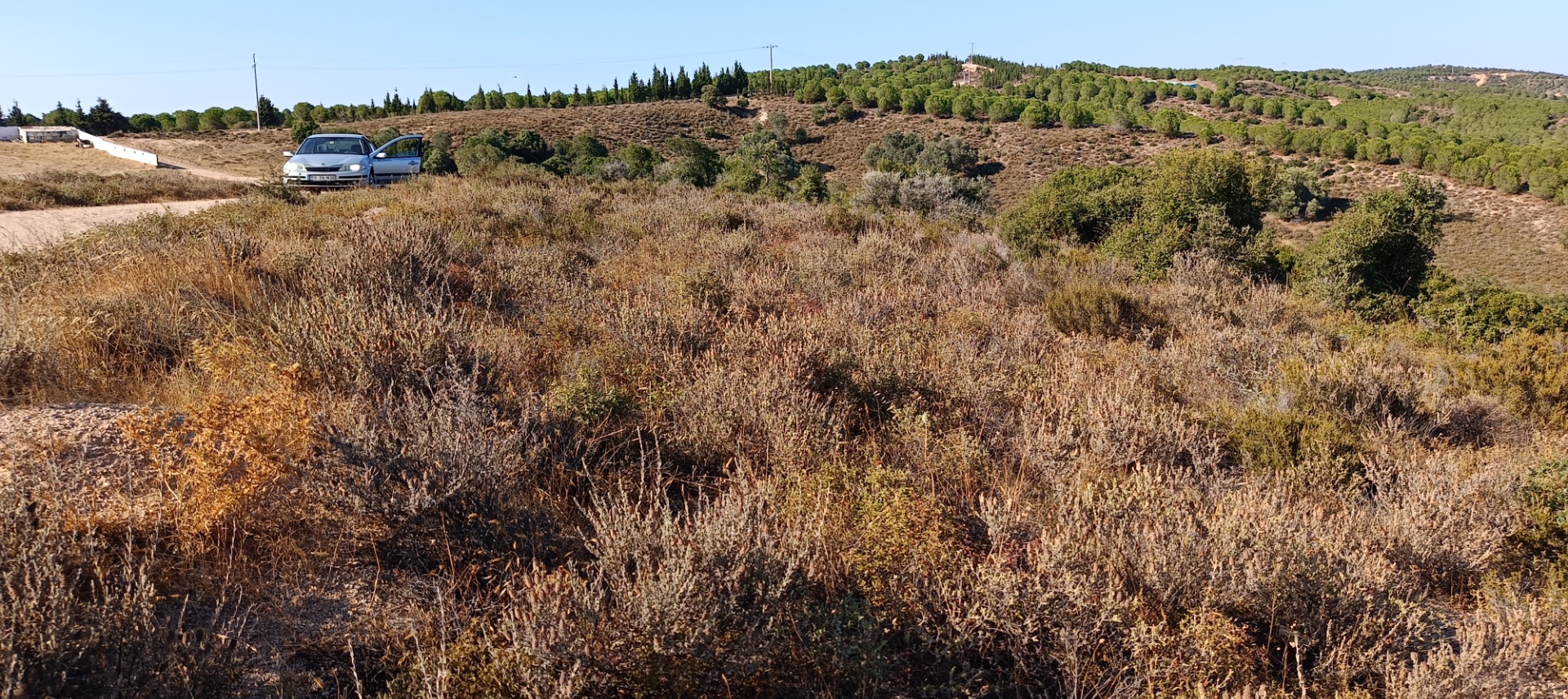 ÇANAKKALE KARABİGA ZEYTİNLİK KÖYÜ SATILIK 6.313 M2 BAĞ - ÇANAKKALE BİGA KARABİGA BELDESİ, ZEYTİNLİK MAHALLESİ - undefined undefined - Thumbnail