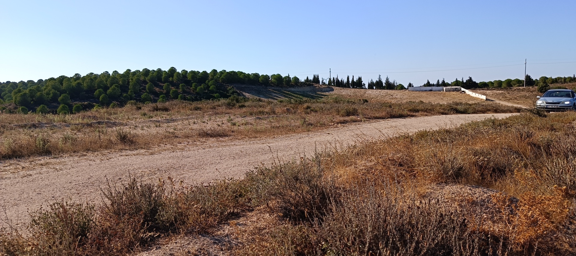 ÇANAKKALE KARABİGA ZEYTİNLİK KÖYÜ SATILIK 6.313 M2 BAĞ - ÇANAKKALE BİGA KARABİGA BELDESİ, ZEYTİNLİK MAHALLESİ - undefined undefined - Thumbnail