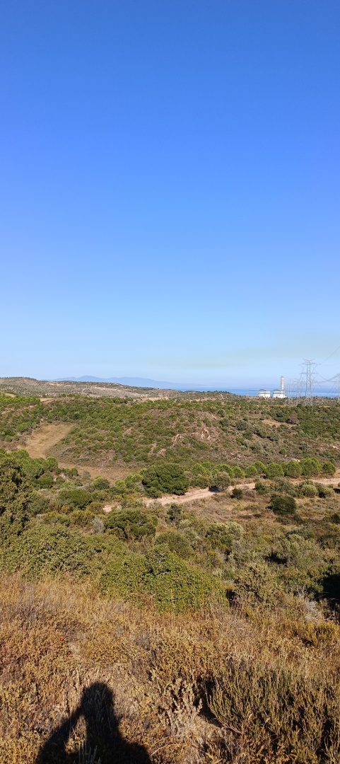 ÇANAKKALE KARABİGA ZEYTİNLİK KÖYÜ SATILIK 6.313 M2 BAĞ - ÇANAKKALE BİGA KARABİGA BELDESİ, ZEYTİNLİK MAHALLESİ - undefined undefined - Thumbnail