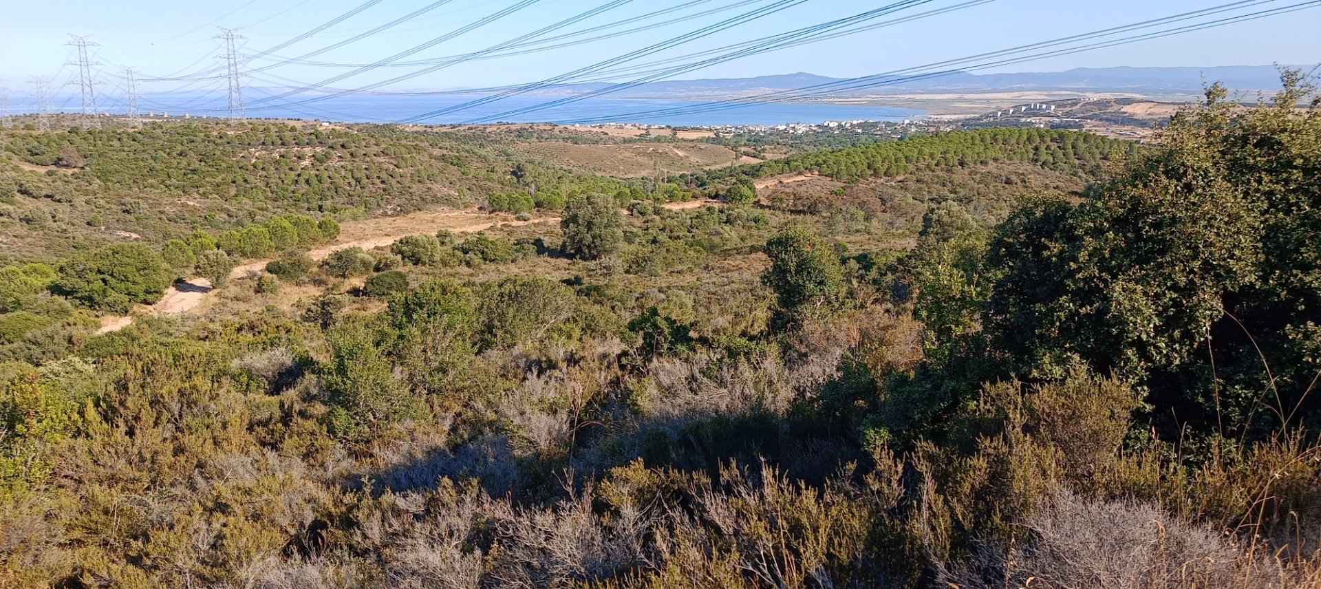 ÇANAKKALE KARABİGA ZEYTİNLİK KÖYÜ SATILIK 6.313 M2 BAĞ - ÇANAKKALE BİGA KARABİGA BELDESİ, ZEYTİNLİK MAHALLESİ - undefined undefined - Thumbnail