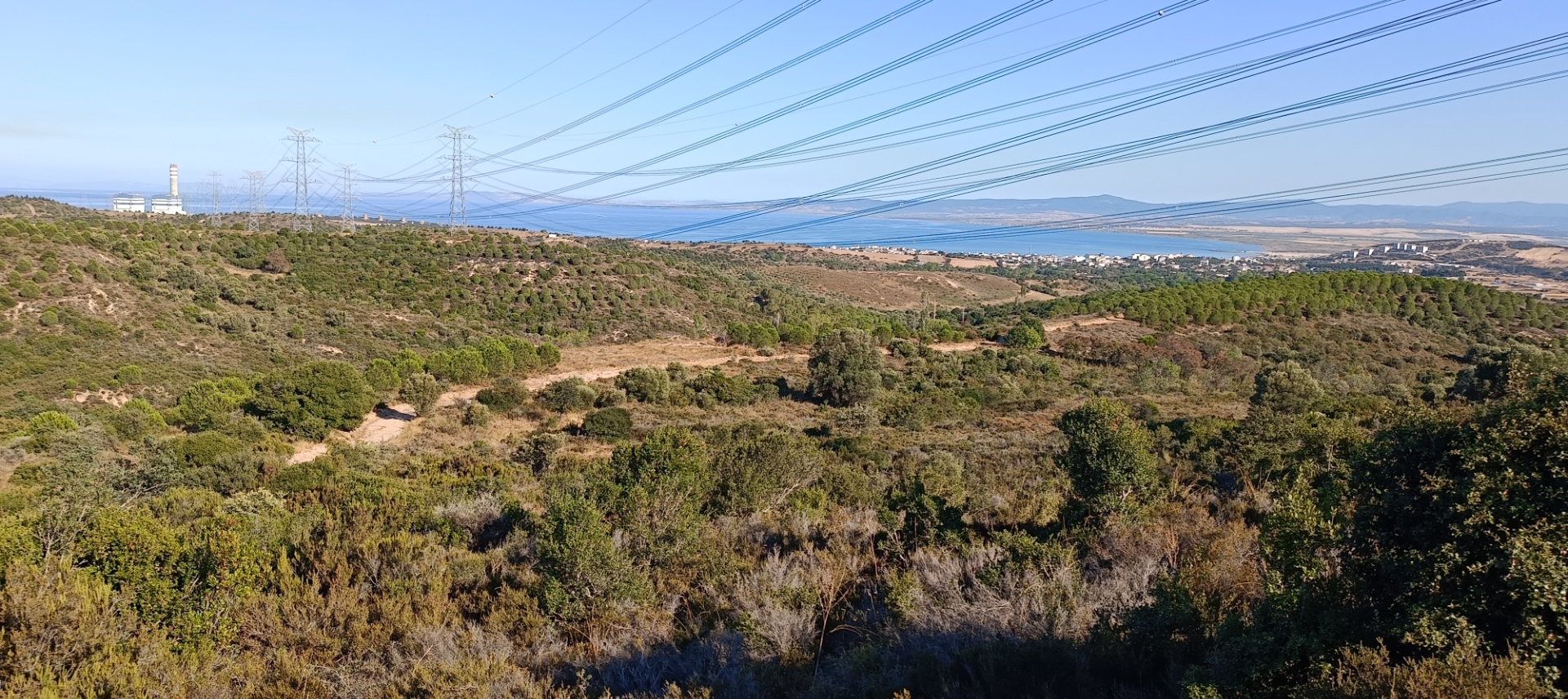 ÇANAKKALE KARABİGA ZEYTİNLİK KÖYÜ SATILIK 6.313 M2 BAĞ - ÇANAKKALE BİGA KARABİGA BELDESİ, ZEYTİNLİK MAHALLESİ - undefined undefined - Thumbnail