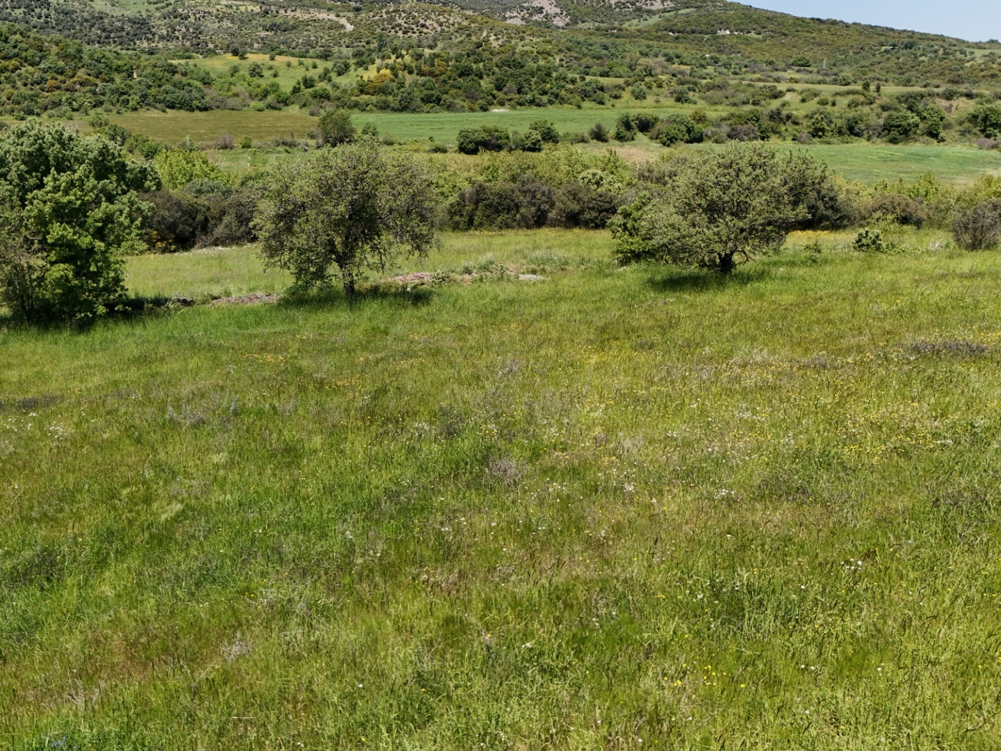 ÇANAKKALE, EZİNE, BAHÇELİ KÖYÜ'NDE BARAJA YAKIN, SULU TARIM VEYA ÇİFTLİK İÇİN UYGUN, KADASTRAL YOLU OLAN TARLA - ÇANAKKALE EZİNE BAHÇELİ KÖYÜ - undefined undefined - Thumbnail
