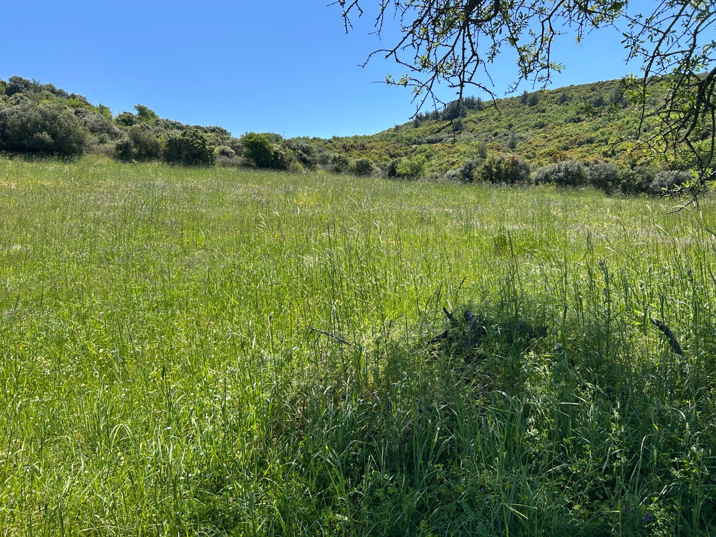 ÇANAKKALE, EZİNE, BAHÇELİ KÖYÜ'NDE BARAJA YAKIN, SULU TARIM VEYA ÇİFTLİK İÇİN UYGUN, KADASTRAL YOLU OLAN TARLA - ÇANAKKALE EZİNE BAHÇELİ KÖYÜ - undefined undefined - Thumbnail