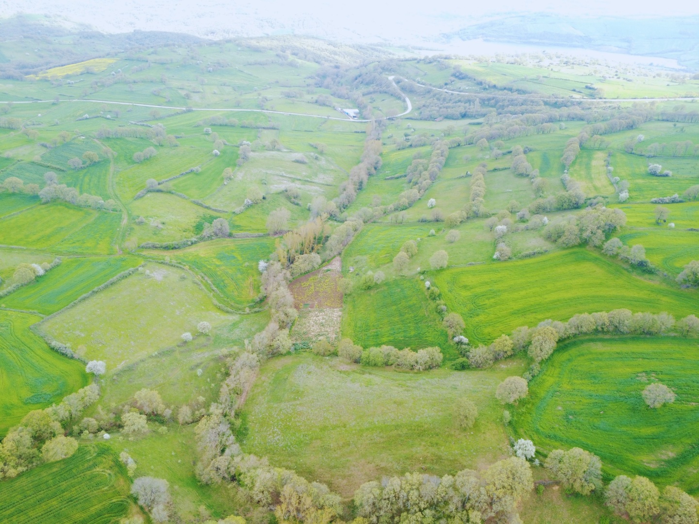 ÇANAKKALE ÇAN KARADAĞ YOLA CEPHELİ 13.166 M2 TARLA - ÇANAKKALE ÇAN KARADAĞ KÖYÜ - undefined undefined - Thumbnail