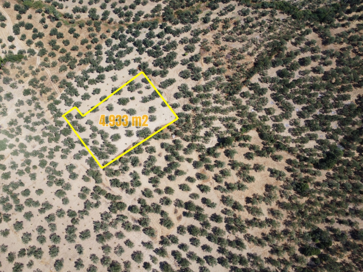  GEYİKLİ DARIKÖY'DE 4.933m² YATIRIMLIK ZEYTİNLİK - ÇANAKKALE EZİNE DARIKÖY KÖYÜ - undefined undefined - Thumbnail