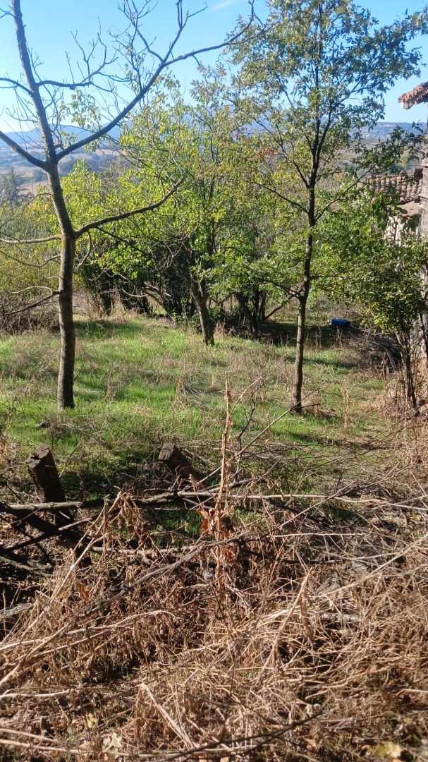 ÇAN İLYASAĞA ÇİFTLİĞİ KÖYÜ’NDE 333 M² TEK TAPU, MÜSTAKİL PARSEL - ÇANAKKALE ÇAN İLYASAĞAÇİFTLİĞİ KÖYÜ - undefined undefined - Thumbnail