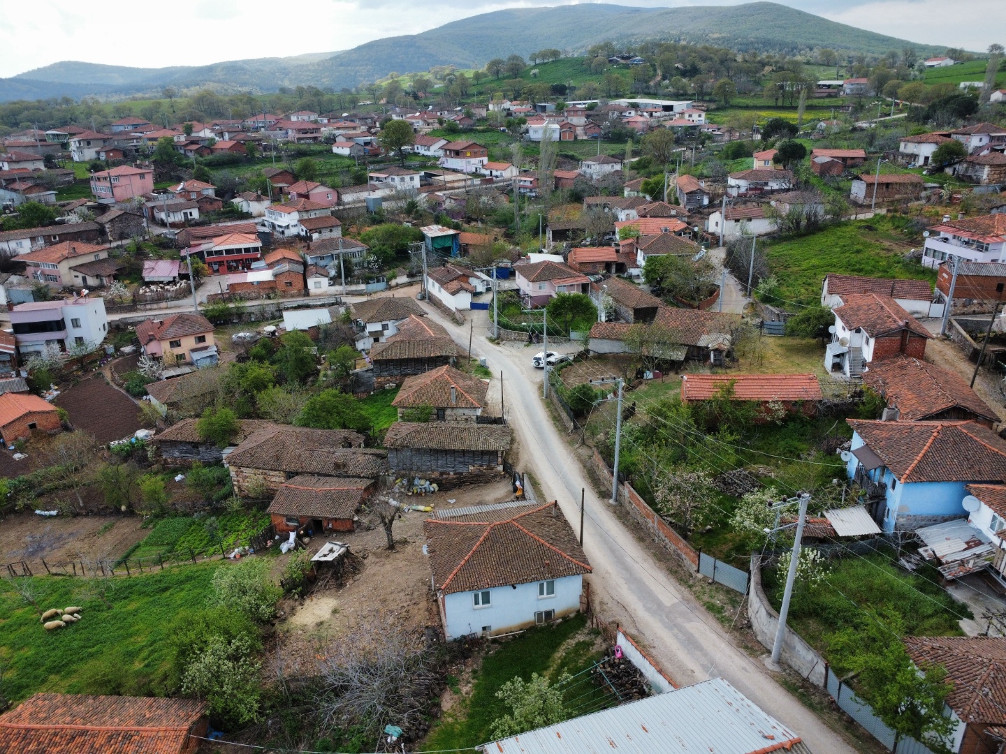 ÇANAKKALE ÇAN KARADAĞ DA 616 m2 ARSA İÇİ 2+1  KÖY EVİ - ÇANAKKALE ÇAN KARADAĞ KÖYÜ - undefined undefined - Thumbnail