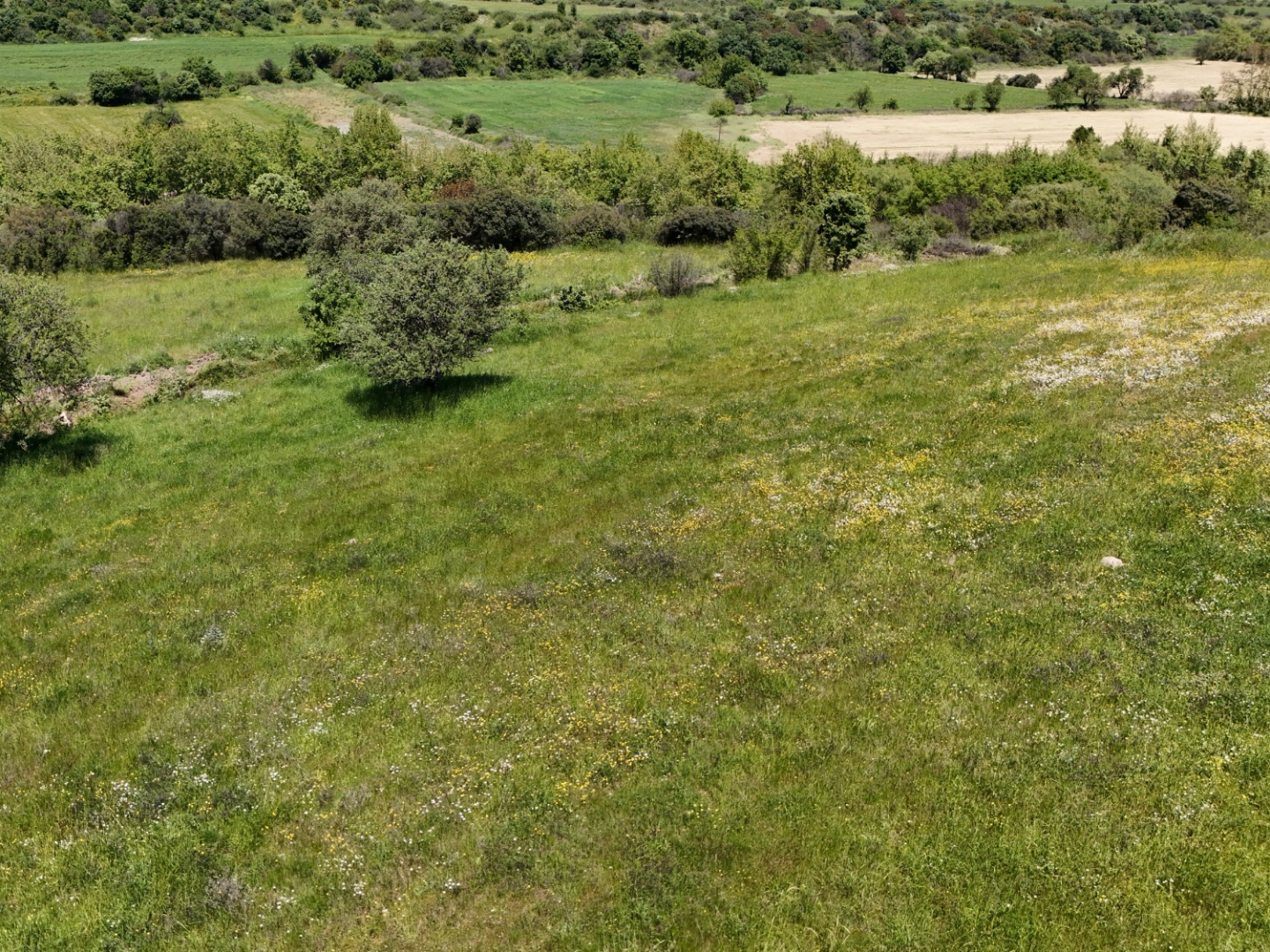 ÇANAKKALE, EZİNE, BAHÇELİ KÖYÜ'NDE BARAJA YAKIN, SULU TARIM VEYA ÇİFTLİK İÇİN UYGUN, KADASTRAL YOLU OLAN TARLA - ÇANAKKALE EZİNE BAHÇELİ KÖYÜ - undefined undefined - Thumbnail