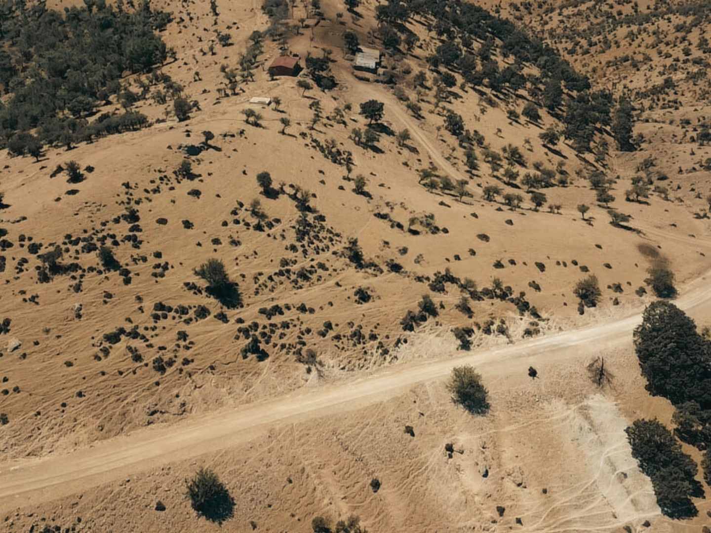 ÇANAKKALE AYVACIK KESTANELİK KÖYÜ 9.324 M2 SATILIK TARLA - ÇANAKKALE AYVACIK KESTANELİK KÖYÜ, KÜÇÜK KESTANELİK MEVKİİ - undefined undefined - Thumbnail