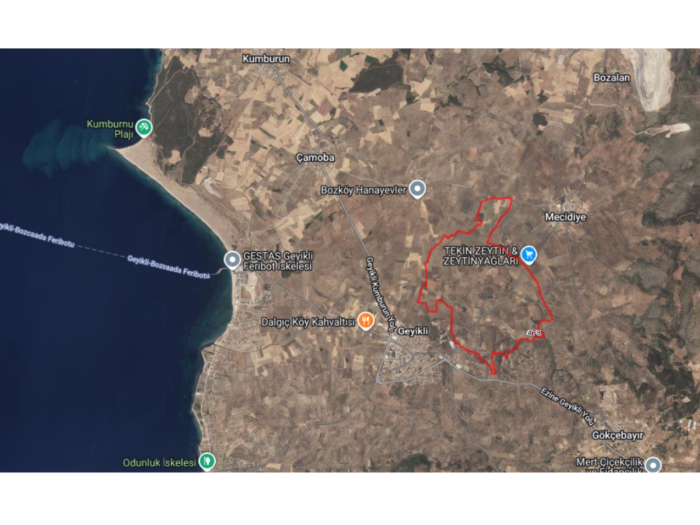  GEYİKLİ DARIKÖY'DE 4.933m² YATIRIMLIK ZEYTİNLİK - ÇANAKKALE EZİNE DARIKÖY KÖYÜ - undefined undefined - Thumbnail