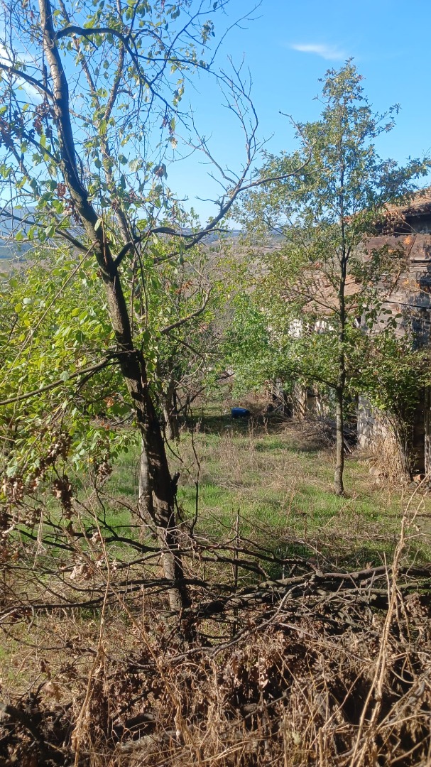ÇAN İLYASAĞA ÇİFTLİĞİ KÖYÜ’NDE 333 M² TEK TAPU, MÜSTAKİL PARSEL - ÇANAKKALE ÇAN İLYASAĞAÇİFTLİĞİ KÖYÜ - undefined undefined - Thumbnail