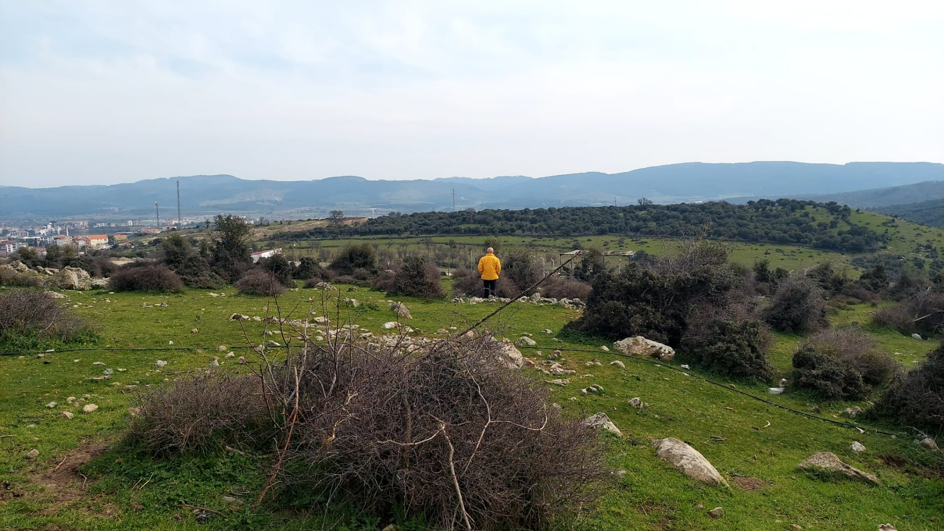 Çanakkale Ayvacık Hamdibey’de Satılık İmarlı Arsa - ÇANAKKALE AYVACIK HAMDİBEY MAHALLESİ - undefined undefined - Thumbnail