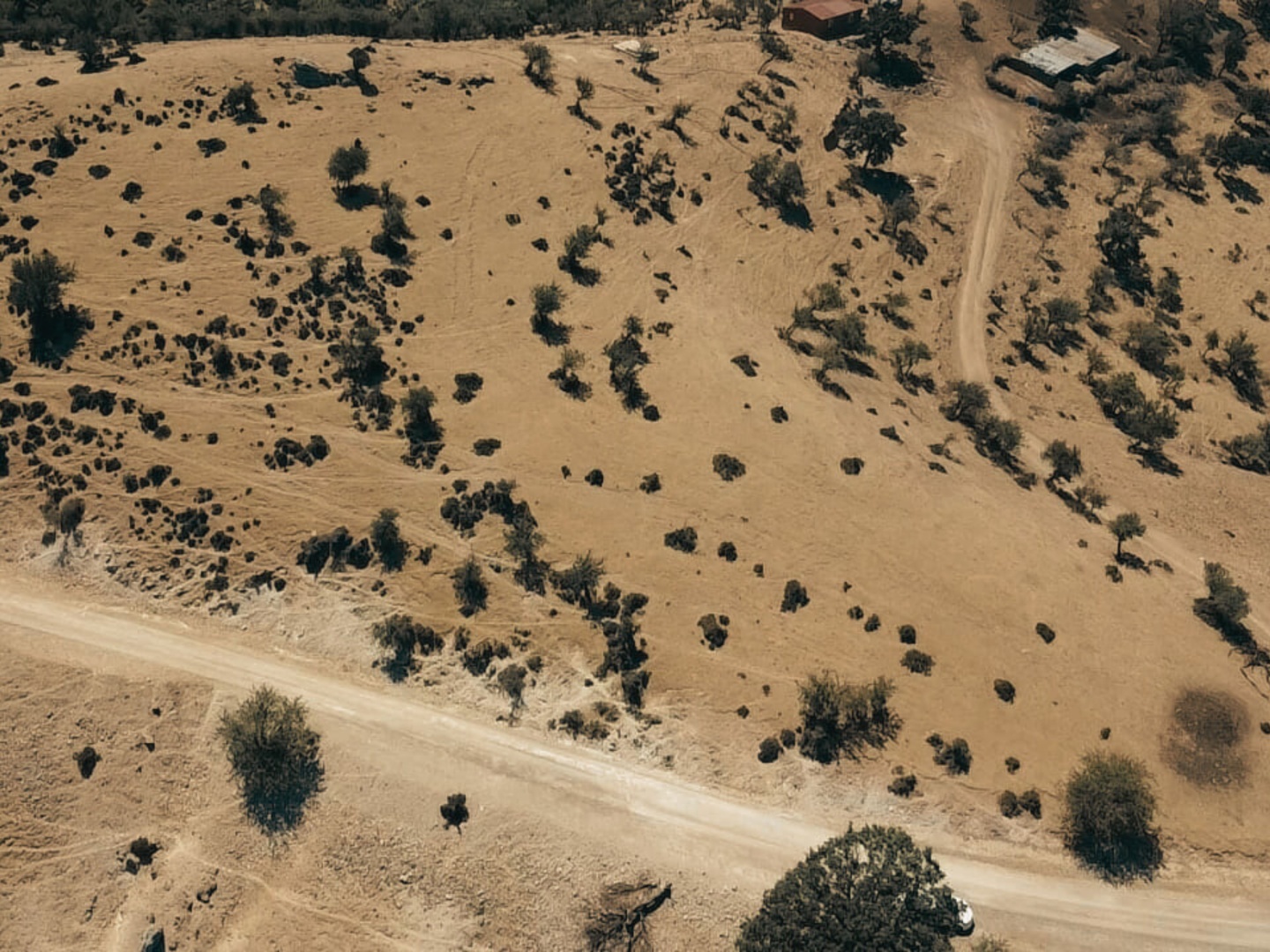ÇANAKKALE AYVACIK KESTANELİK KÖYÜ 9.324 M2 SATILIK TARLA - ÇANAKKALE AYVACIK KESTANELİK KÖYÜ, KÜÇÜK KESTANELİK MEVKİİ - undefined undefined - Thumbnail