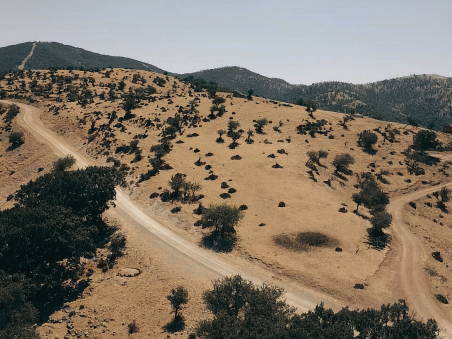 ÇANAKKALE AYVACIK KESTANELİK KÖYÜ 9.324 M2 SATILIK TARLA - ÇANAKKALE AYVACIK KESTANELİK KÖYÜ, KÜÇÜK KESTANELİK MEVKİİ - undefined undefined - Thumbnail