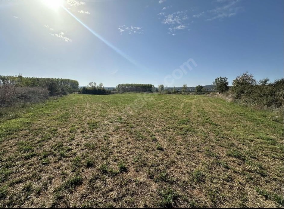 EDİRNE KEŞAN BAHÇEKÖY'DE 6.909 m² MÜSTAKİL TAPULU, KADASTRO YOLUNA CEPHELİ TARLA - EDİRNE KEŞAN BAHÇEKÖY KÖYÜ - undefined undefined - Thumbnail