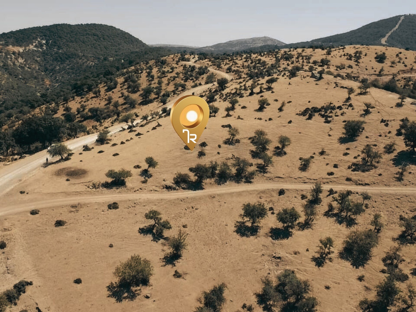 ÇANAKKALE AYVACIK KESTANELİK KÖYÜ 9.324 M2 SATILIK TARLA - ÇANAKKALE AYVACIK KESTANELİK KÖYÜ, KÜÇÜK KESTANELİK MEVKİİ - undefined undefined - Thumbnail