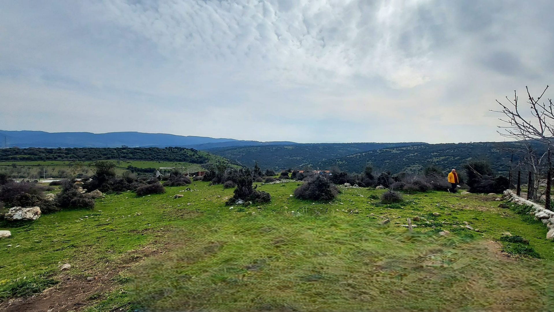 Çanakkale Ayvacık Hamdibey’de Satılık İmarlı Arsa - ÇANAKKALE AYVACIK HAMDİBEY MAHALLESİ - undefined undefined - Thumbnail