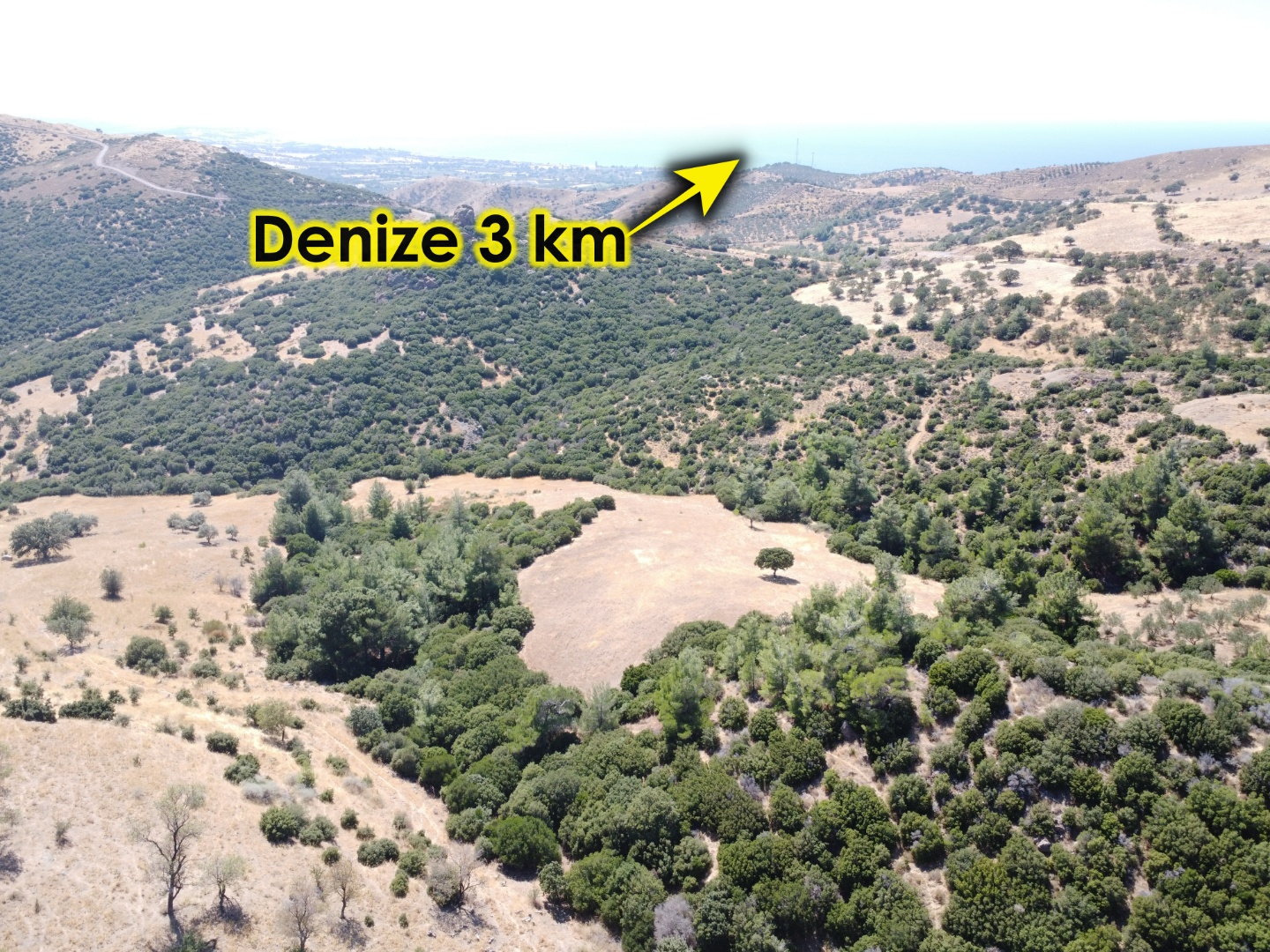 AYVACIK KÖSEDEREDE SATILIK TARLA - ÇANAKKALE AYVACIK KÖSEDERE KÖYÜ, MERKEZ 1 MEVKİİ - undefined undefined - Thumbnail