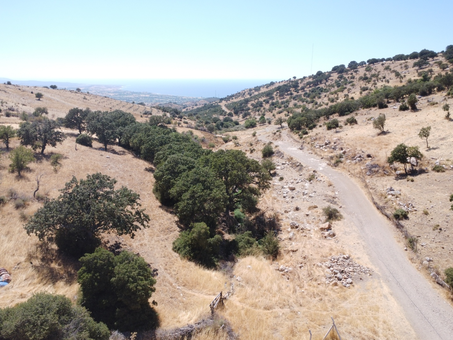 AYVACIK KÖSEDEREDE SATILIK DENİZ MANZARALI TARLA - ÇANAKKALE AYVACIK KÖSEDERE KÖYÜ, KARAAYIT MEVKİİ - undefined undefined - Thumbnail