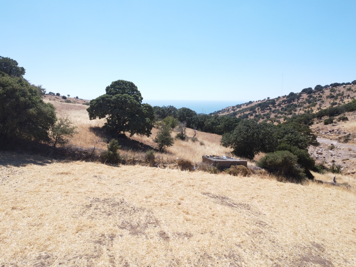 AYVACIK KÖSEDEREDE SATILIK DENİZ MANZARALI TARLA - ÇANAKKALE AYVACIK KÖSEDERE KÖYÜ, KARAAYIT MEVKİİ - undefined undefined - Thumbnail