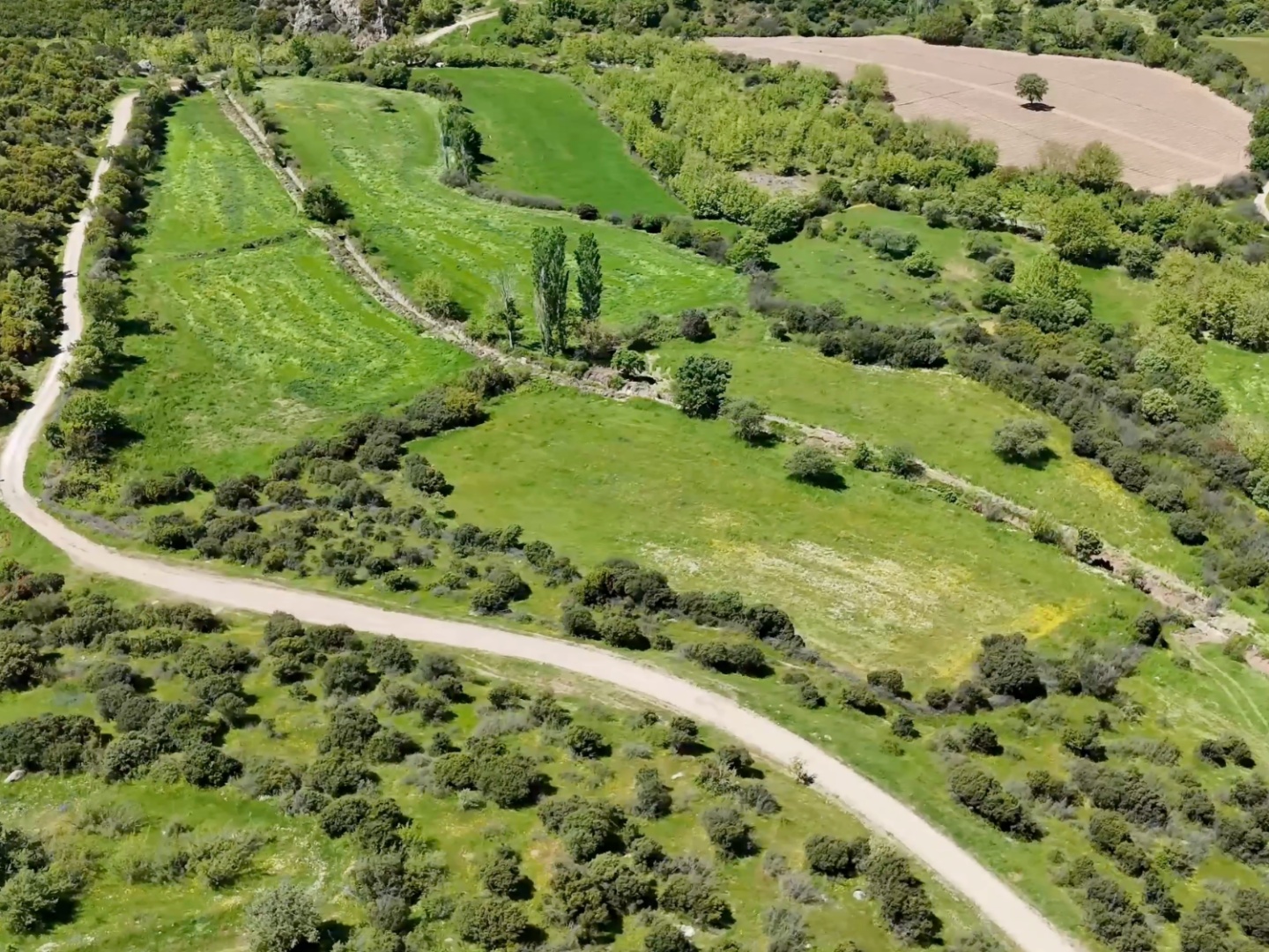 ÇANAKKALE, EZİNE, BAHÇELİ KÖYÜ'NDE BARAJA YAKIN, SULU TARIM VEYA ÇİFTLİK İÇİN UYGUN, KADASTRAL YOLU OLAN TARLA - ÇANAKKALE EZİNE BAHÇELİ KÖYÜ - undefined undefined - Thumbnail