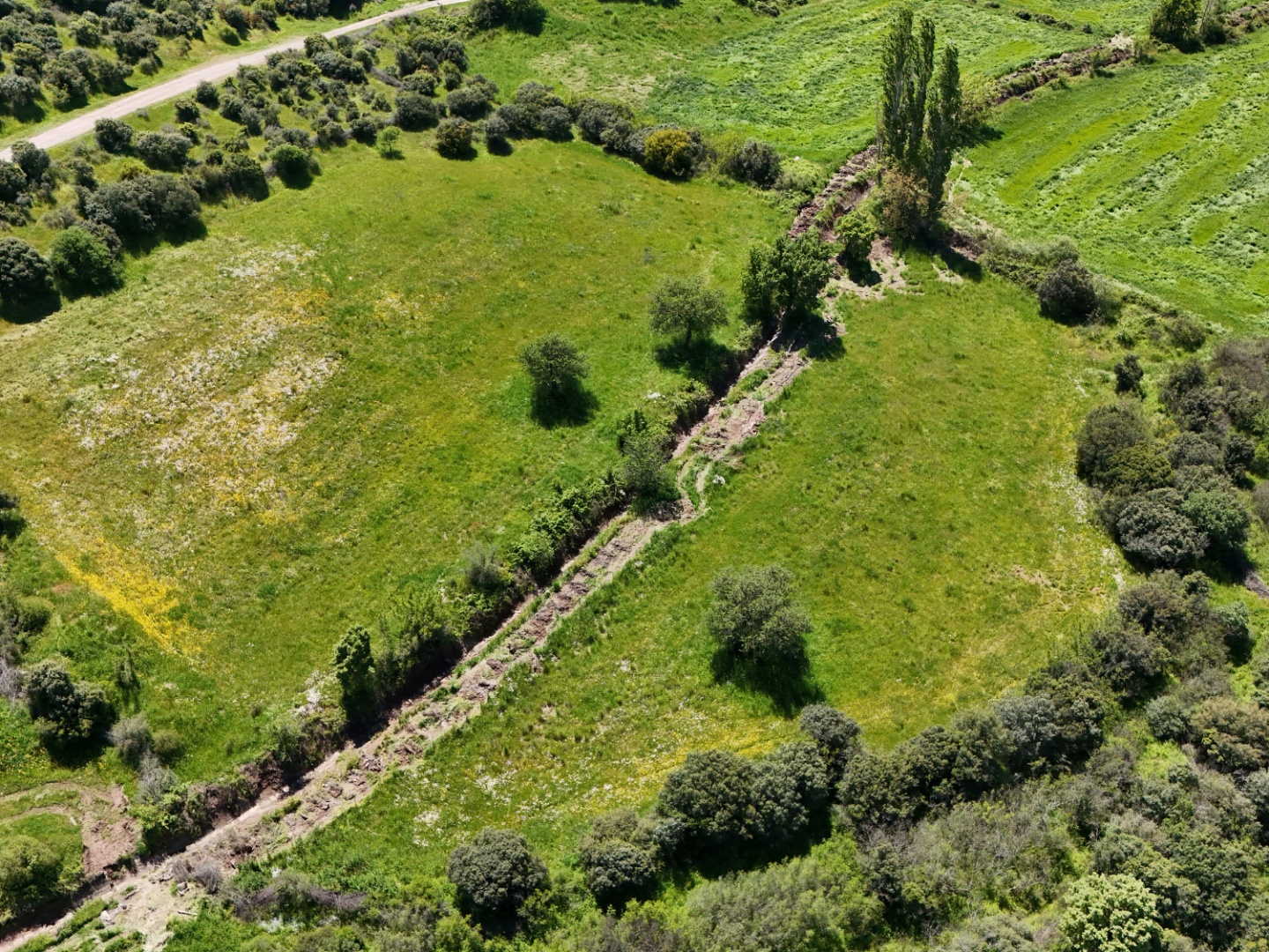 ÇANAKKALE, EZİNE, BAHÇELİ KÖYÜ'NDE BARAJA YAKIN, SULU TARIM VEYA ÇİFTLİK İÇİN UYGUN, KADASTRAL YOLU OLAN TARLA - ÇANAKKALE EZİNE BAHÇELİ KÖYÜ - undefined undefined - Thumbnail