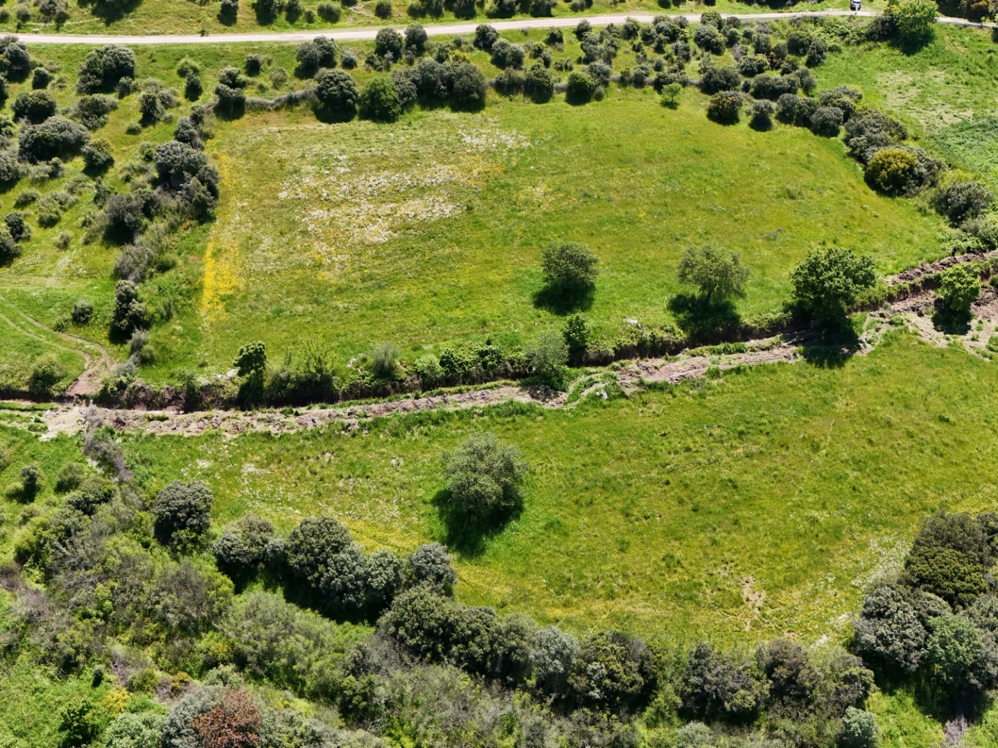 ÇANAKKALE, EZİNE, BAHÇELİ KÖYÜ'NDE BARAJA YAKIN, SULU TARIM VEYA ÇİFTLİK İÇİN UYGUN, KADASTRAL YOLU OLAN TARLA - ÇANAKKALE EZİNE BAHÇELİ KÖYÜ - undefined undefined - Thumbnail
