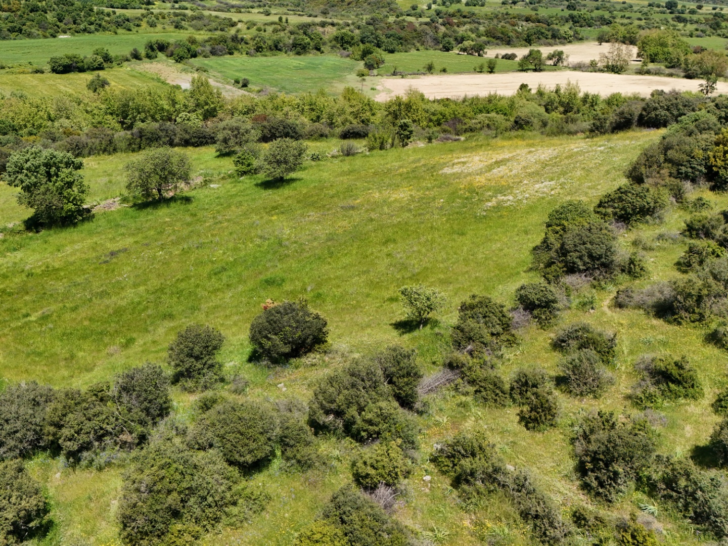 ÇANAKKALE, EZİNE, BAHÇELİ KÖYÜ'NDE BARAJA YAKIN, SULU TARIM VEYA ÇİFTLİK İÇİN UYGUN, KADASTRAL YOLU OLAN TARLA - ÇANAKKALE EZİNE BAHÇELİ KÖYÜ - undefined undefined - Thumbnail
