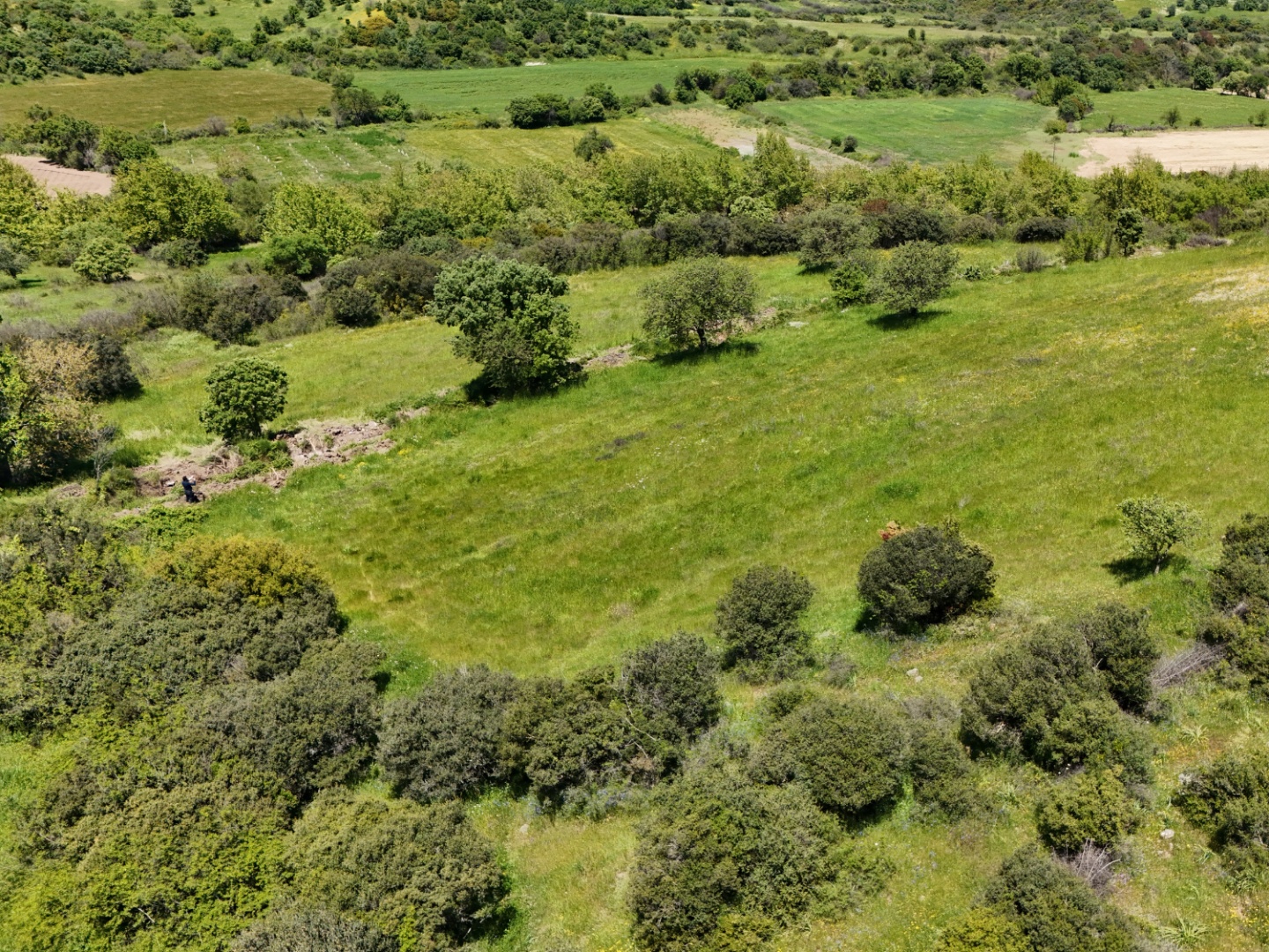 ÇANAKKALE, EZİNE, BAHÇELİ KÖYÜ'NDE BARAJA YAKIN, SULU TARIM VEYA ÇİFTLİK İÇİN UYGUN, KADASTRAL YOLU OLAN TARLA - ÇANAKKALE EZİNE BAHÇELİ KÖYÜ - undefined undefined - Thumbnail