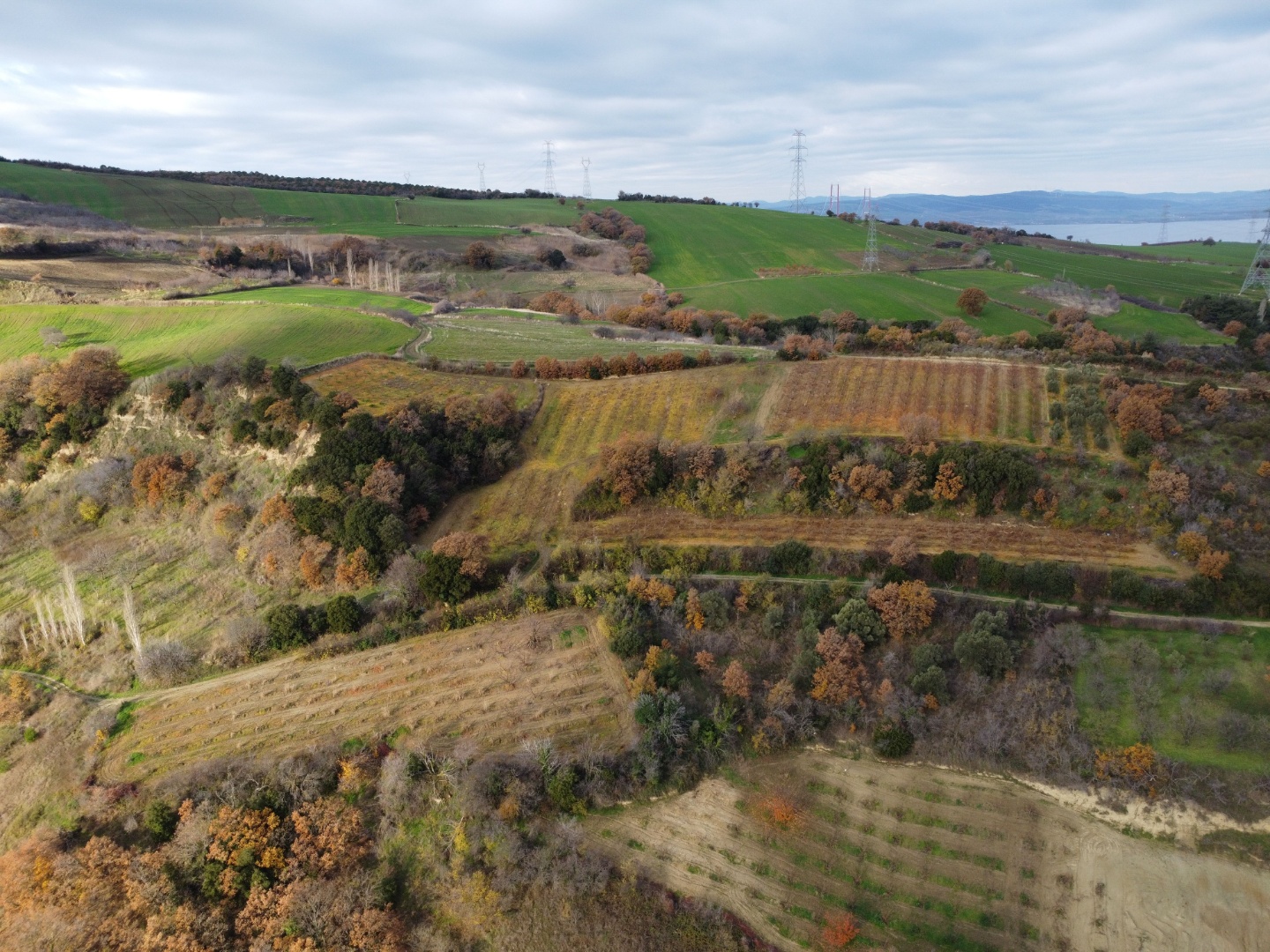 ÇANAKKALE SUBAŞI KÖYÜ RESMİ YOL CEPHELİ SATILIK 549 M2 TARLA - ÇANAKKALE LAPSEKİ SUBAŞI KÖYÜ - undefined [object Object]