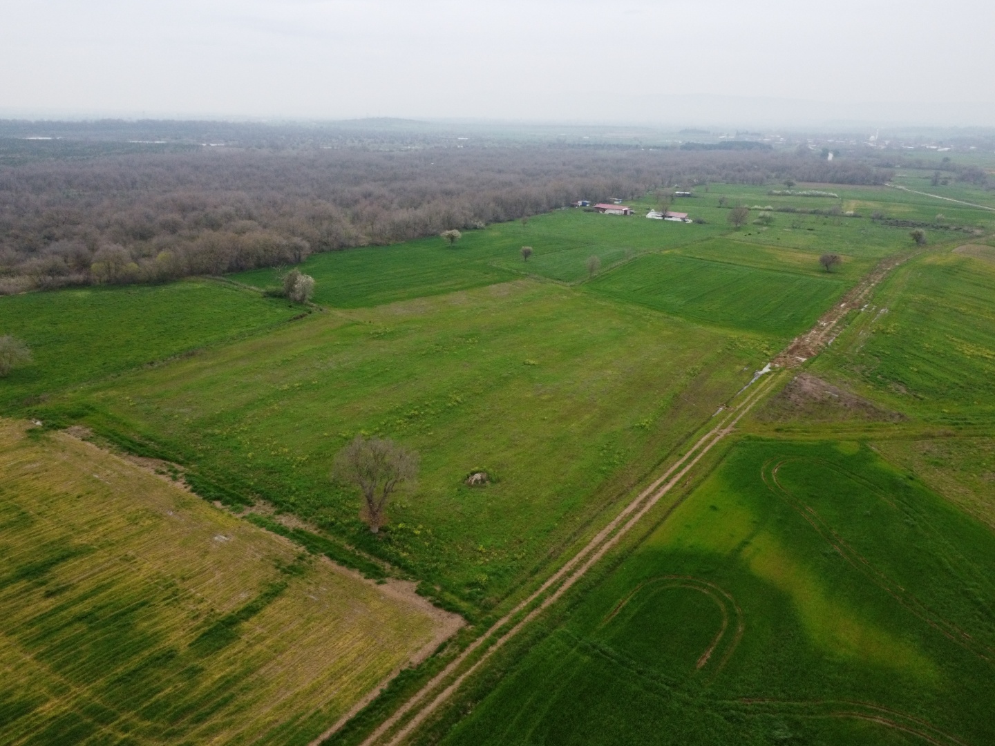 BİGA GÜNDOĞDU'DA 8.5 DÖNÜM DÜZ ZEMİN FIRSAT TARLA - ÇANAKKALE BİGA GÜNDOĞDU KÖYÜ - undefined [object Object]