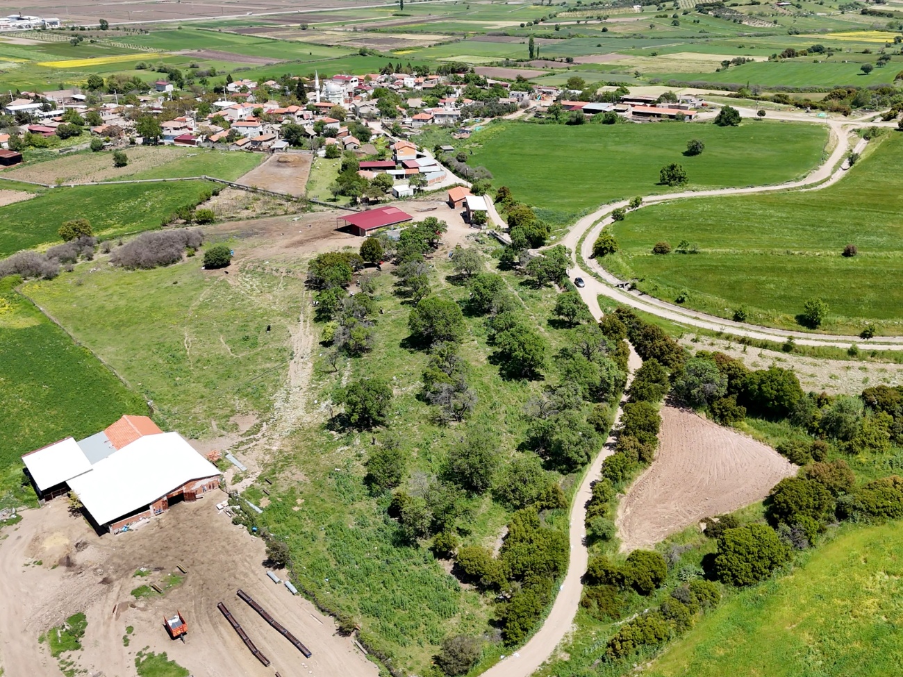EZİNE BALIKLI KÖYÜNDE BİR BÖLÜMÜ KÖY İÇİ İMARLI 7272 M2 TARLA SATILIK  - ÇANAKKALE EZİNE BALIKLI KÖYÜ - undefined undefined - Thumbnail