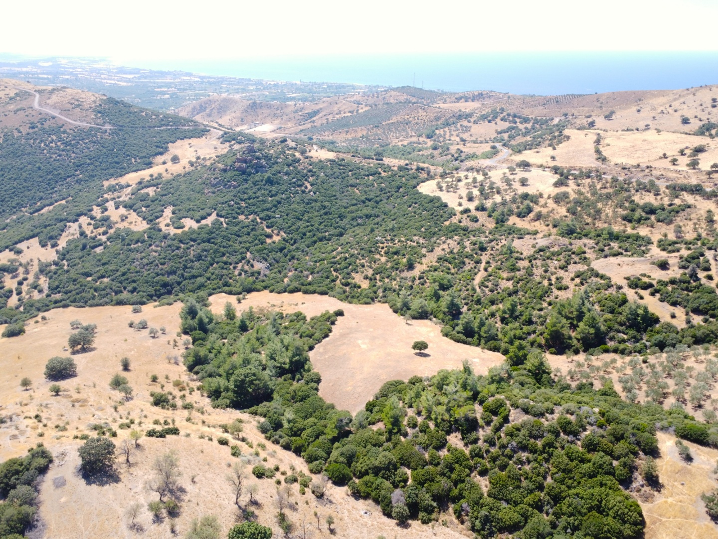 AYVACIK KÖSEDEREDE SATILIK TARLA - ÇANAKKALE AYVACIK KÖSEDERE KÖYÜ, MERKEZ 1 MEVKİİ - undefined undefined - Thumbnail
