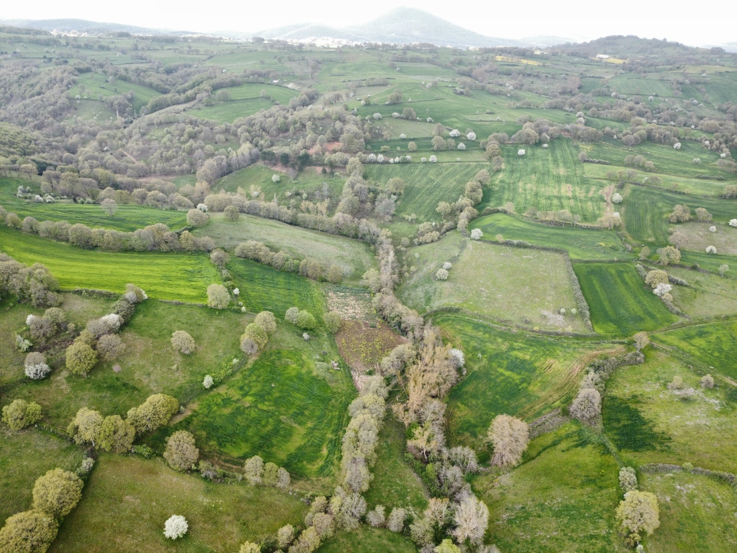 ÇANAKKALE ÇAN KARADAĞ YOLA CEPHELİ 13.166 M2 TARLA