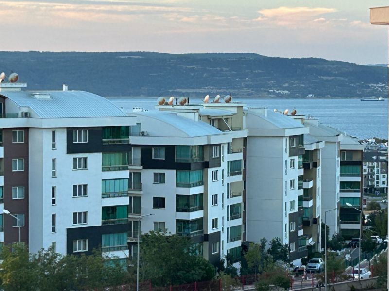 ÇANAKKALE HAMİDİYE'DE HAVUZLU SİTEDE BOĞAZ MANZARALI, EŞYALI 3+1 KİRALIK DAİRE - ÇANAKKALE MERKEZ KEPEZ BELDESİ, HAMİDİYE MAHALLESİ - undefined undefined - Thumbnail