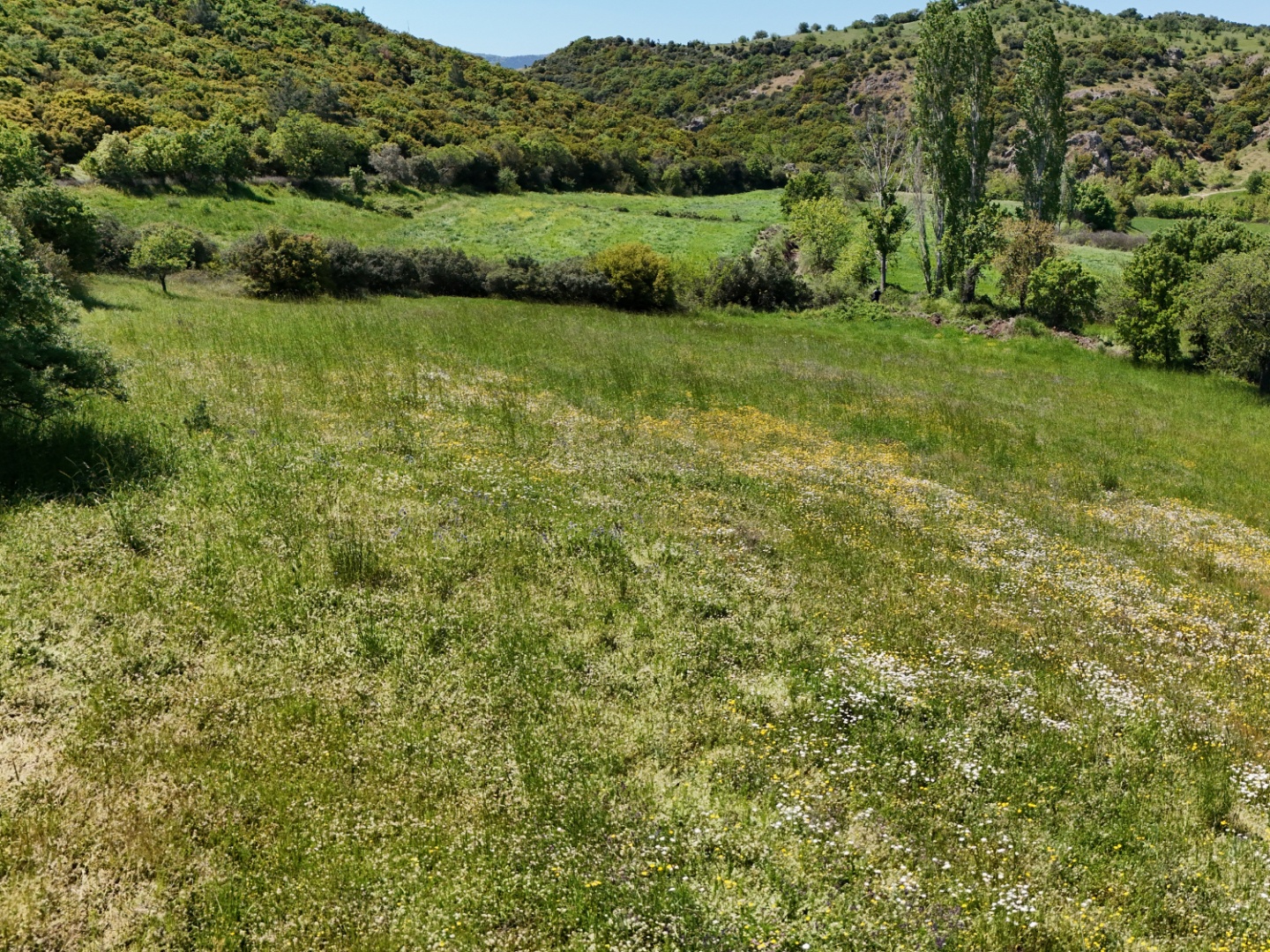 ÇANAKKALE, EZİNE, BAHÇELİ KÖYÜ'NDE BARAJA YAKIN, SULU TARIM VEYA ÇİFTLİK İÇİN UYGUN, KADASTRAL YOLU OLAN TARLA - ÇANAKKALE EZİNE BAHÇELİ KÖYÜ - undefined undefined - Thumbnail