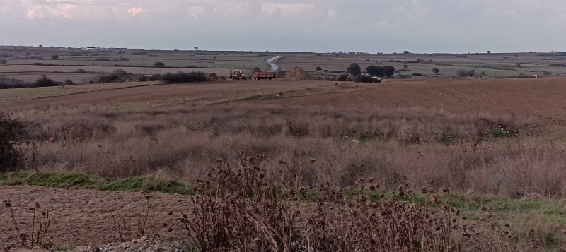 Tekirdağ Kapaklı Karaağaç 1302 m2 Konut İmarlı Satılık Arsa - TEKİRDAĞ KAPAKLI KARAAĞAÇ MAHALLESİ - undefined undefined - Thumbnail
