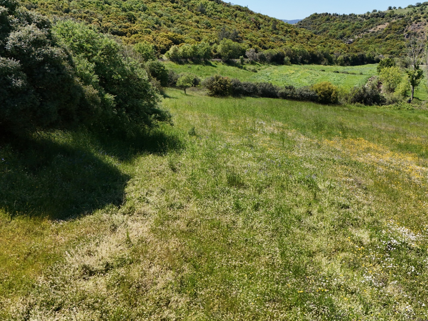 ÇANAKKALE, EZİNE, BAHÇELİ KÖYÜ'NDE BARAJA YAKIN, SULU TARIM VEYA ÇİFTLİK İÇİN UYGUN, KADASTRAL YOLU OLAN TARLA - ÇANAKKALE EZİNE BAHÇELİ KÖYÜ - undefined undefined - Thumbnail