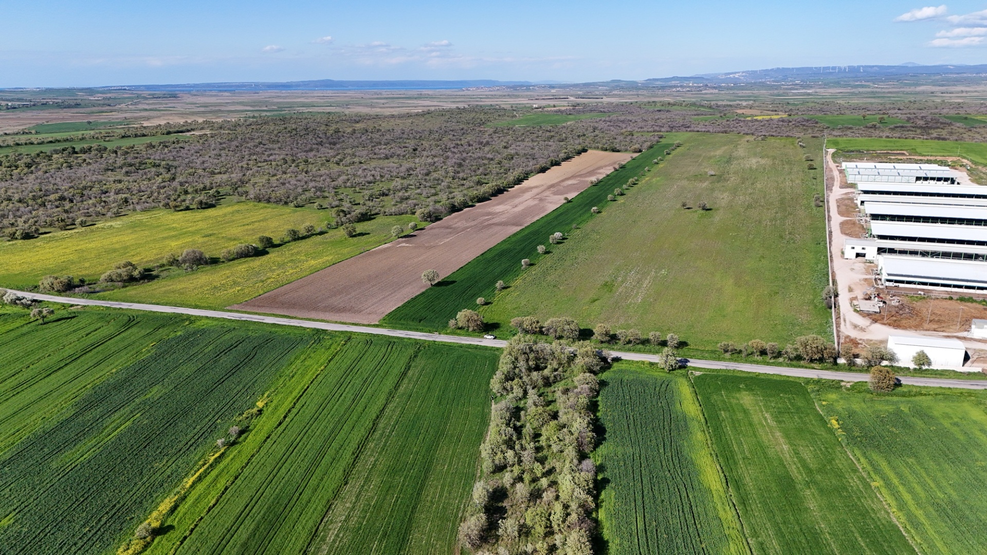 ÇANAKKALE EZİNE ÜVECİK KÖYÜNDE ASFALT YOLA CEPHELİ 16.268 M2 TARLAMIZ SATILIKTIR - ÇANAKKALE EZİNE ÜVECİK KÖYÜ - undefined undefined - Thumbnail