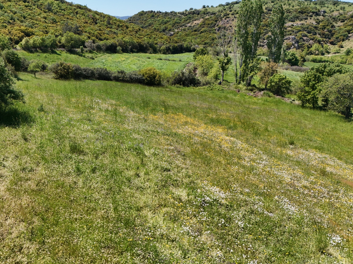 ÇANAKKALE, EZİNE, BAHÇELİ KÖYÜ'NDE BARAJA YAKIN, SULU TARIM VEYA ÇİFTLİK İÇİN UYGUN, KADASTRAL YOLU OLAN TARLA - ÇANAKKALE EZİNE BAHÇELİ KÖYÜ - undefined undefined - Thumbnail