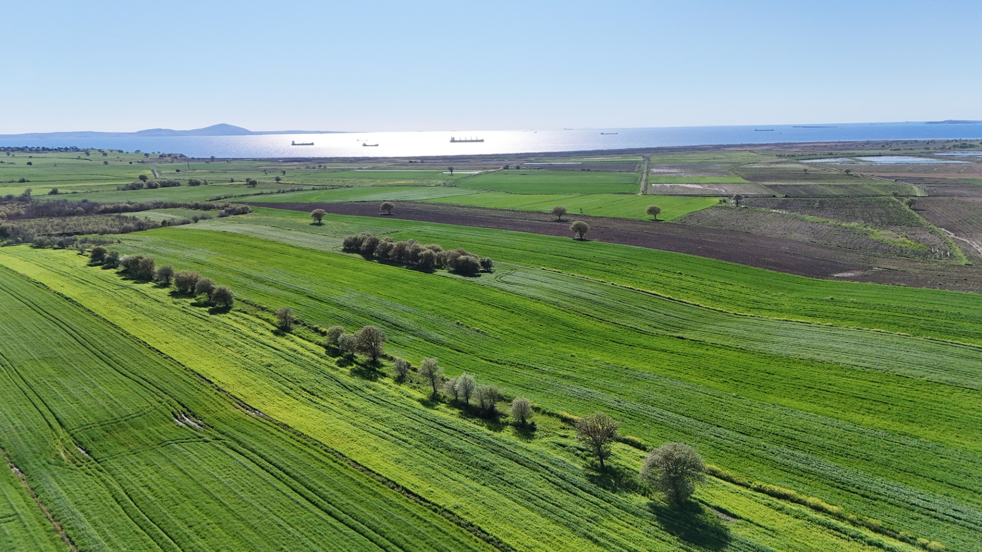 ÇANAKKALE EZİNE ÜVECİK KÖYÜNDE ASFALT YOLA CEPHELİ 16.268 M2 TARLAMIZ SATILIKTIR - ÇANAKKALE EZİNE ÜVECİK KÖYÜ - undefined undefined - Thumbnail