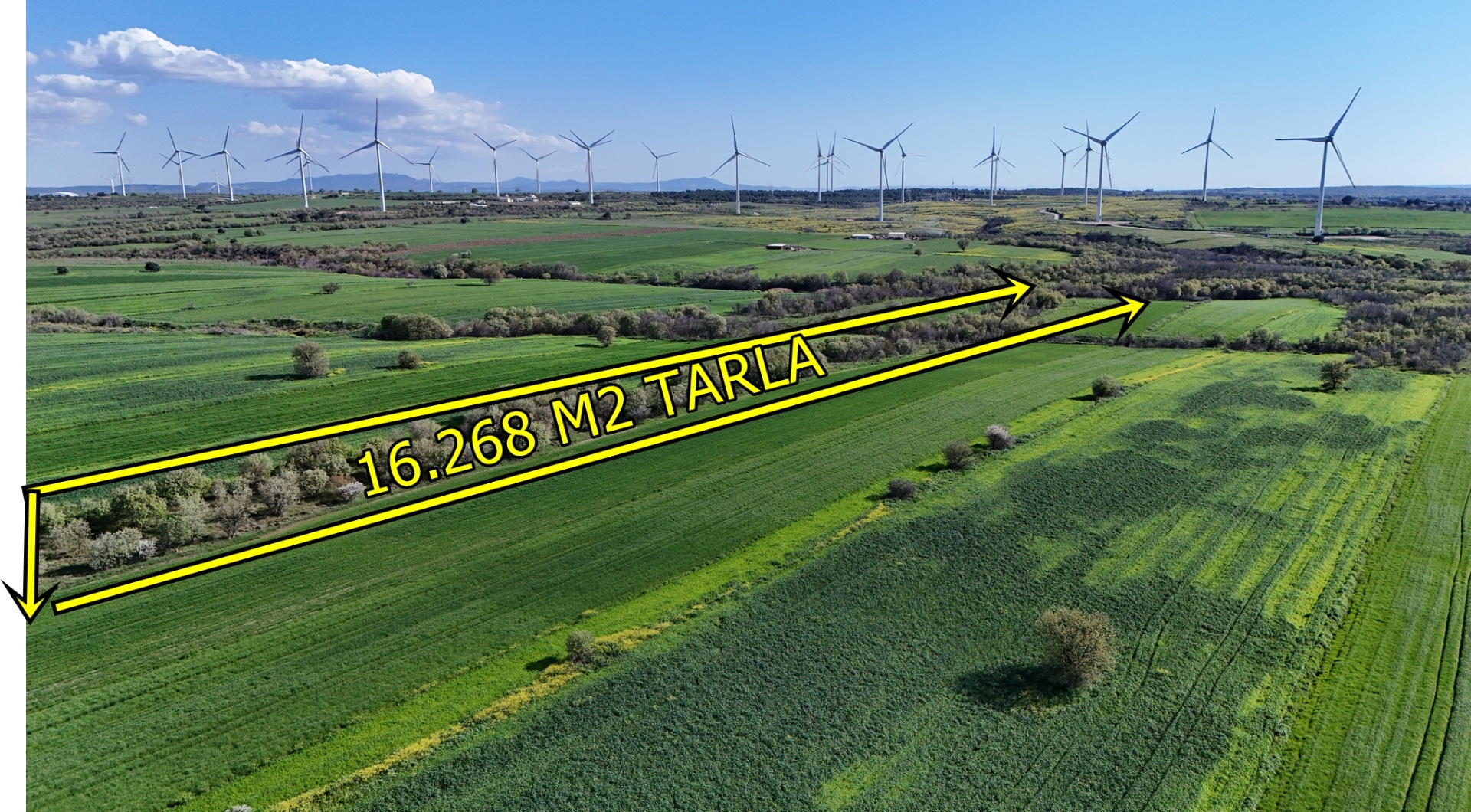 ÇANAKKALE EZİNE ÜVECİK KÖYÜNDE ASFALT YOLA CEPHELİ 16.268 M2 TARLAMIZ SATILIKTIR - ÇANAKKALE EZİNE ÜVECİK KÖYÜ - undefined undefined - Thumbnail
